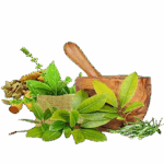 ayurvedic_medicines.png